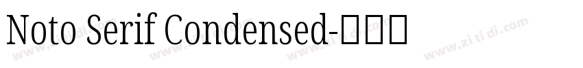 Noto Serif Condensed字体转换